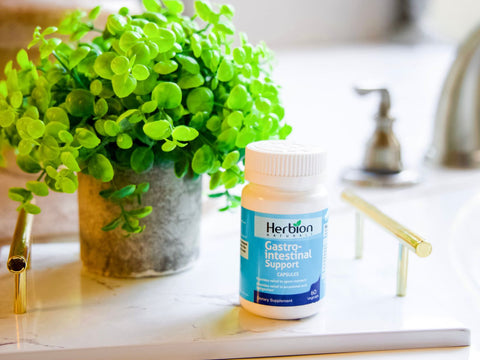 Gentle Daily Support, Not Just Symptom Relief