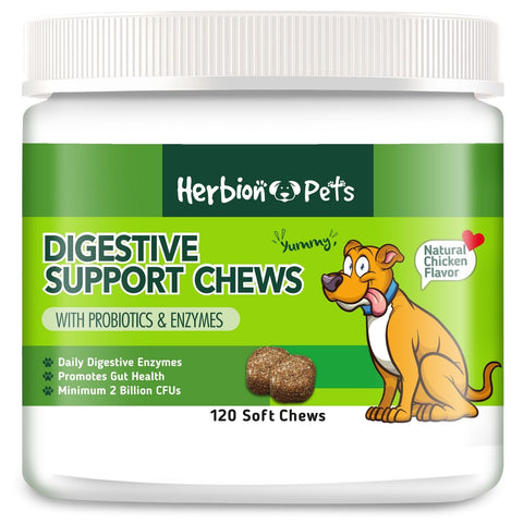 A bottle of Herbion Digestive Support Dog Chews with probiotics, digestive enzymes, and natural chicken flavor for dogs