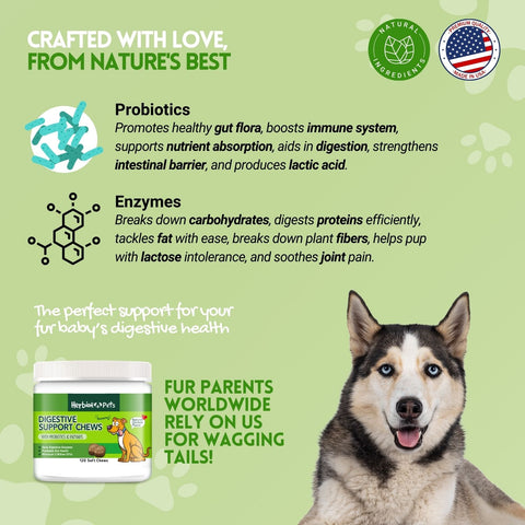 Herbion Digestive Support Dog Chews contains probiotics and digestive enzymes to support your dog's digestive health.