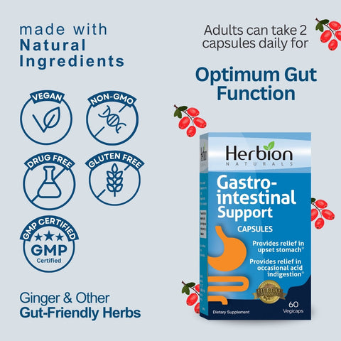Herbion Gastro-intestinal Support Capsules: Vegan, Non-GMO, Drug Free, Gluten Free, and GMP Certified. Ginger and Other Gut-Friendly Herbs