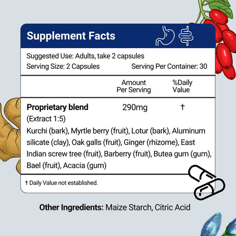 Supplement Facts of Herbion Gastro-intestinal Support Capsules