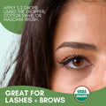 Herbion Organic Castor Oil is great for lashes and brows. 