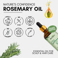 Herbion Rosemary Oil: Cruelty Free, No Dyes, Non GMO, No Parabens, Recyclable Packaging, and Dropper Included