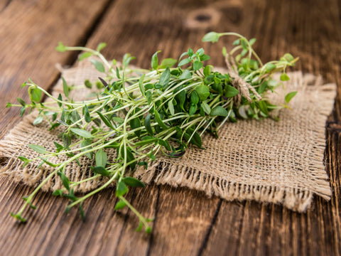 Triple-Herb Respiratory Blend